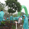 横浜ゴム、中国のタイヤ生産拠点で植樹祭を開催