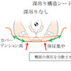 レクサスNX：深吊り構造シート