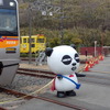 京成パンダ