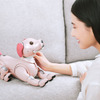 AIロボティクスビジネスグループ：AIロボット「aibo」