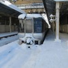2月6日、千歳線新札幌駅で立ち往生した785系の特急『すずらん』。