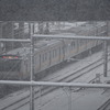 1月6日以来の大雪になりそうな東京23区内。写真は新宿駅で雪に煙る中央線快速電車。2022年1月6日。