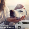 ペットの立場で考えたクルマ作り「with DOG MOBILITY事業部」発足