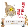猫飛び出しサイン