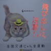 猫飛び出しサイン：夜間ヘッドライトに照射されたイメージ
