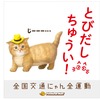 猫飛び出しサイン