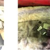 最初に損傷したピストンリングの割損部（左の黄色枠部）と損傷したピストンリングの破片（右）。