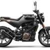 ハスクバーナ・スヴァルトピレン250（欧州仕様車）