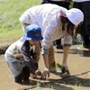 田植えプログラム