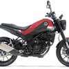 ベネリ レオンチーノ 250
