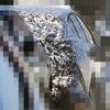 プジョー 新型クーペSUV 開発車両（スクープ写真）