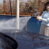 洗車はいつも通りに水洗いからスタート