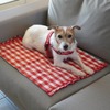 ドッグフレンドリーカーに積んでおきたい愛犬用災害対策アイテム10