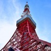 「vipわんツアー！」×「代々木わんわんカーニバル」、東京観光＆ドッグイベントを楽しむコラボツアー開催