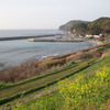 山口・惣郷にて。線路は山陰本線。この付近には鉄道写真ファンの間で有名な惣郷川橋梁がある。