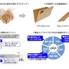 豊田合成、車の内外装部品向けの「CNF強化プラスチック」を開発