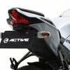 アクティブ フェンダーレスキット（ZX-10R）