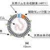 従来法（2016年発表）