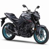 ヤマハ MT-25 ABS（パステルダークグレー）