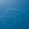 Fly for ALL #大空を見上げよう
