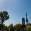 Fly for ALL #大空を見上げよう