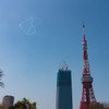 Fly for ALL #大空を見上げよう