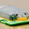 アイガモロボプロト