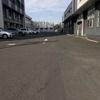 目視で見た際のターゲットライン