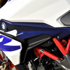 BMW G310R