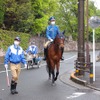 馬は、道路交通法上で「軽車両」に定められている。学童交通整理のための移動は、誘導や確認を行う職員と共に行う