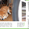 犬との旅のイロハを特集した、日本犬専門誌『Shi-Ba』最新号