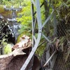 鉄柱の損傷状態。