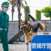 警視庁警備犬のウィル号と小野星一巡査部長