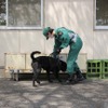 爆発物の捜索の訓練
