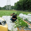 カングーファーム