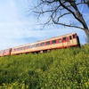 2023年2月初旬に引退する予定のキハ28 2346（後部はキハ52 125）。レストラン列車は11時18分に大多喜駅を出発。上総中野駅と大原駅で折り返し、13時52分に大多喜に戻るスケジュール。