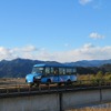 運行を見合わせている阿佐海岸鉄道のDMV。
