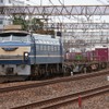 EF66 27