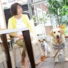 店内ペットOKのお店を選ぶ