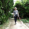 わが家の夏の愛犬連れドライブ8か条