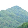 金山駅に進入する根室本線の普通列車。同駅を含む富良野～新得間ではバス転換の方向性が固まっている。