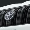 ラジエーターグリル（マットブラック塗装）＆グリルインナーバー（マットブラック塗装）