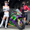 コカ・コーラ鈴鹿8時間耐久ロードレース