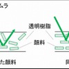 フィルムを均一に発色させる工夫