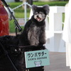 「SIENTA DOG PARK（シエンタドッグパーク）」オープニングセレモニー