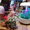 ◆終了◆8/25 ※無料【開催直前】欧州版CES!? IFA-Berlinの見どころは～家電連携やエネルギー危機で揺れるドイツ～