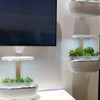 ◆終了◆8/25 ※無料【開催直前】欧州版CES!? IFA-Berlinの見どころは～家電連携やエネルギー危機で揺れるドイツ～
