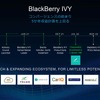 2021年3月に5000万ドルの投資基金「IVYイノベーションファンド」を設立