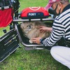 The Dog Bike PONY