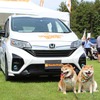 Honda Dog（ホンダアクセス）ブース／アウトドアドッグフェスタin八ヶ岳 2022